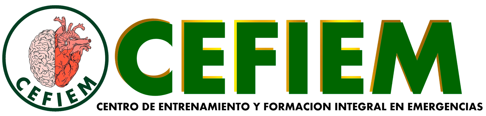 CEFIEM
